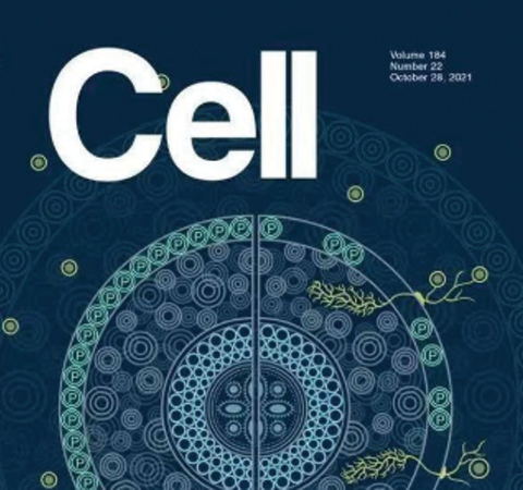 祝賀王二濤老師團(tuán)隊(duì)又一佳作榮登Cell期刊！